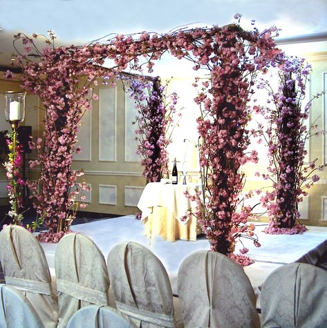 Stunning cherry blossom and birch chuppah Birch Chuppah, Ceremony Arches, Wedding Chuppah, Cherry Blossom Wedding, Ceremony Arch, Wedding Vibes, Exposed Wood, Vow Renewal, Bat Mitzvah