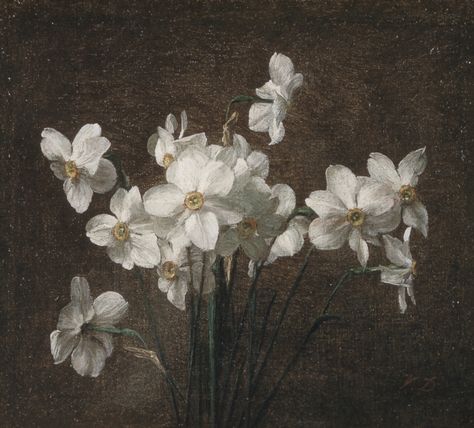 Future Husband, White Flowers, Still Life, Painter, Paintings, Flowers, White