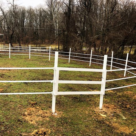 Barn Hacks & DIY Projects - DIY Round Pen How To Build A Round Pen For Horses, Diy Arena Fencing, Diy Round Yard Horse, Diy Round Pen For Horses Cheap, Round Pen Diy, Diy Horse Round Pen, Horse Round Pen Ideas, Diy Round Pen For Horses, Diy Horse Arena Cheap