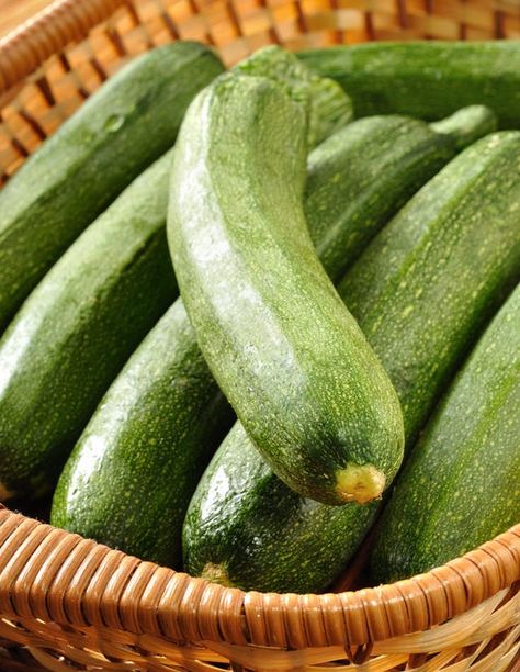 Zucchini Garden, Roots Recipes, Zucchini Plant, Zucchini Pasta Recipes, Zucchini Recipes Baked, Growing Zucchini, Zucchini Recipes Healthy, Zucchini Plants, Zucchini Banana Bread