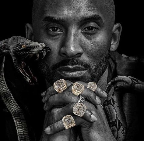 Kobe Bryant Rings, Kobe Brayant, Black Mamba Kobe, Kobe Bryant Quotes, Kobe Bryant Poster, Kobe Bryant 8, Kobe Mamba, Kobe Bryant Family, Kobe & Gigi