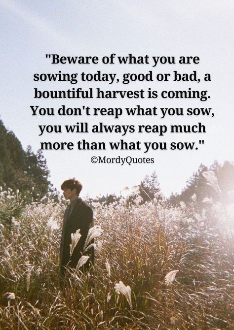 Beware of what you are sowing today, good or bad, a bountiful harvest is coming. You don't reap what you sow, you will always reap much more than what you sow. #mordyquotes #quoteoftheday #quotes #lifequotes #motivationalquotes #inspirationalquotes #lifelessons #mindquotes #thinkingquotes #mondaymotivation #positivequotes #positivity #successquotes #millionairequotes #wisdomquotes #quotes #inspiration #motivation #pinterestquotes #bestquotes #quotesideas #quotesdesign You Will Reap What You Sow, We Reap What We Sow Quotes, You Reap What You Sow, You Reap What You Sow Quotes, Reap What You Sow Quotes, Harvest Quotes, Faith Board, Reap What You Sow, Cute Bibles