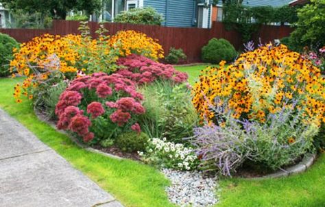 How to build a rain garden - Create a rich plant basin to collect and filter storm-water runoff from gutters Rain Garden Design, Garden Steps, Dry Creek, Pollinator Garden, Rain Garden, Gardening Advice, Garden Irrigation System, House Landscape, Garden Irrigation