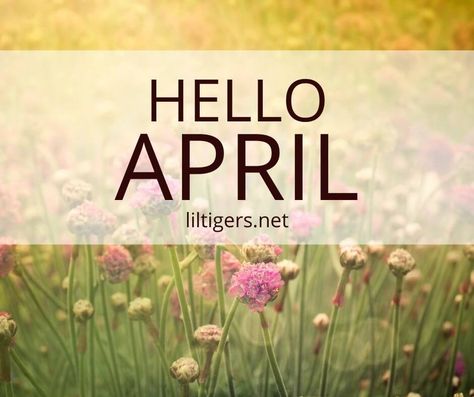 165 Hello April Quotes April 1st Quotes, Welcome April Quotes, Hello April Quotes, Welcome April, April Quotes, Be Nice To Me, Monthly Quotes, Hello April, April Showers Bring May Flowers