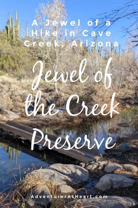 A jewel of a hike in Cave Creek. Short moderate hike along the creek and next to towering saguaros. This Phoenix area hike is dog friendly. #hike #arizona Cave Creek Arizona, Arizona Adventure, Arizona Hiking, Desert Travel, Cave Creek, Arizona Travel, Local Travel, Dog Friendly, Dog Friends