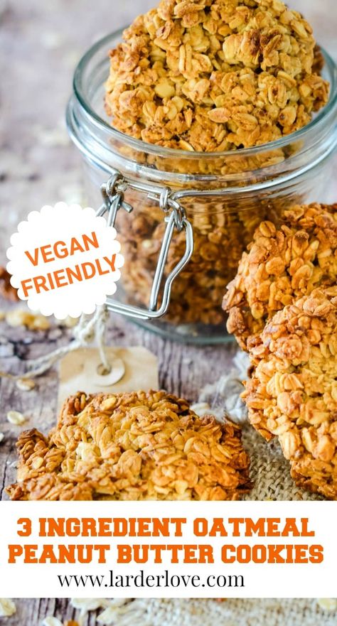 Oat Peanut Butter Cookies, Vegan Oat Cookies, Oatmeal Peanut Butter Cookies, Healthy Oat Cookies, 3 Ingredient Peanut Butter Cookies, Peanut Butter Oatmeal Chocolate Chip, Peanut Butter Oatmeal Chocolate Chip Cookies, Easy Vegan Cookies, Oat Cookie Recipe