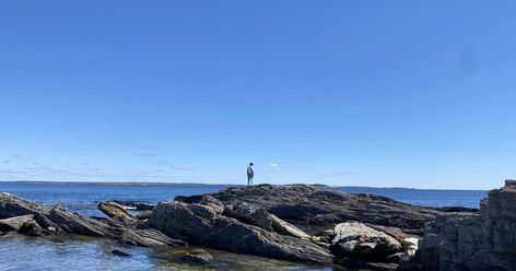 Giant's Stairs Trail Is Less Than A Mile But The Ocean Views Will Take You Far, Far Away Hiking Maine, Maine Ocean, Maine Hikes, Giants Stairs Maine, Whale Watching Maine, Wonderland Trail, Mount Desert Island, Maine Coast, Forest Trail