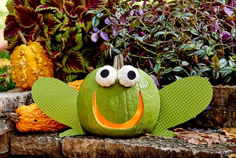 Frog Pumpkin Painting, Frog Pumpkin Carving, Frog Pumpkin, Owl Pumpkin Carving, Kids Pumpkin Carving, Creative Pumpkin Carving Ideas, Funny Pumpkin Carvings, Fall Front Door Decor, Cute Pumpkin Carving