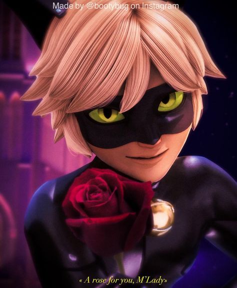 “A rose for you, M’Lady» 🥀 - Why can Ladybug just accept that damn rose. - - Quick edit of the hottest cat ever ❤️ hope you like it! -… Cat Noir, A Rose, Black Cat, Red, Black