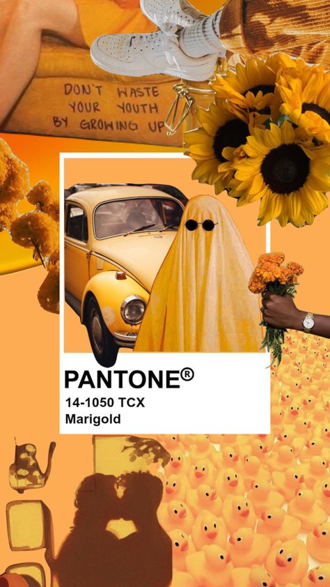 PANTONE collage #4: Marigold 👘 #pantone #pantoneswatch #pantonechallenge #moodboard #shufflesinspo #inspoboard #goldenhour #colourpalette Pantone Collage, Pantone Cards, Pantone Swatch, Pantone Art, Altered Cards, Pantone Swatches, Design Posters, Color Swatches, Pantone Color