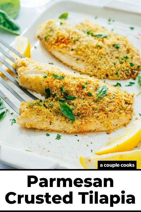 This Parmesan crusted tilapia is perfectly seasoned, with a crunchy exterior and tender on the inside. It's a dish everyone will love! #tilapia #parmesancrustedtilapia #easytilapia #tilapiarecipe #fishrecipe #easydinner #healthydinner Dinner Recipes Fish, Parmesan Crusted Tilapia, Vegan Brunch Recipes, Best Fish Recipes, Winter Salad Recipes, A Couple Cooks, Salad Dressing Recipes Healthy, Crusted Tilapia, Recipes Fish