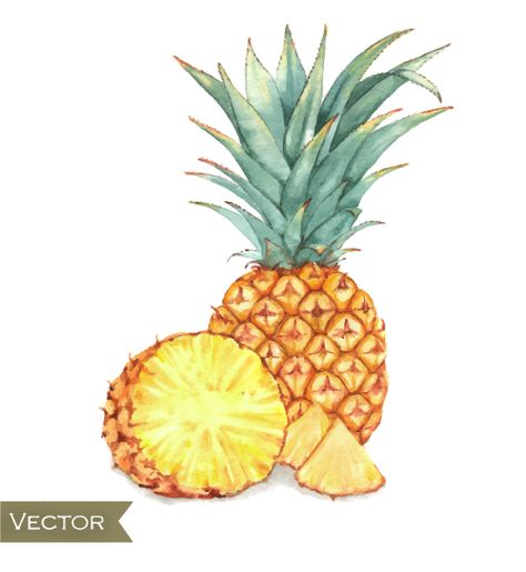 Cocktail Watercolor, Watercolor Vector, Watercolor Pineapple, Vector Food, Watercolor Painting, Pineapple, Hand Drawn, Free Download, Watercolour Painting