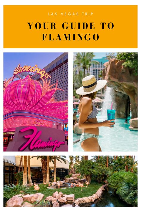 Vegas Flamingo Hotel, Vegas Hotel Aesthetic, The Flamingo Las Vegas, Flamingo Vegas, Best Pools In Vegas, Vegas Hotels Strip, Best Hotels In Vegas, Flamingo Hotel Las Vegas, Best Las Vegas Hotels