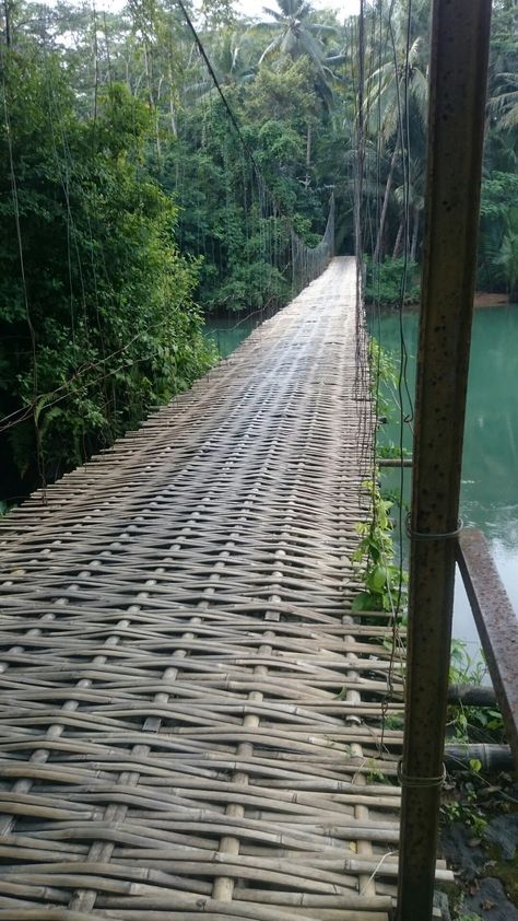 Bridge Design Minecraft, Bamboo Bridge, Bamboo Building, Bamboo Structure, Bamboo Architecture, Bamboo Construction, Cool Tree Houses, Bamboo Art, Bamboo House