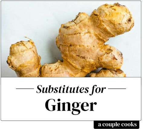 Substitute For Ginger, Ginger Substitute, Healthy Cook Books, Vegetarian Cookbook, Couple Cooking, Clam Recipes, Dry Ginger, Ginger Spice, Ingredient Substitutions