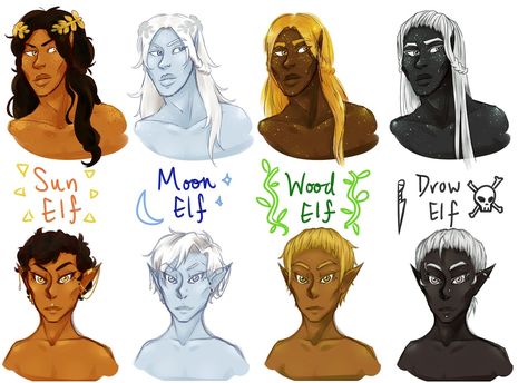 Different Elf Races, Types Of Elves Dnd, Gray Skin Character, Elf Species, Dnd Moon Elf, Different Types Of Elves, Elf Types, Moon Elves, Types Of Elves