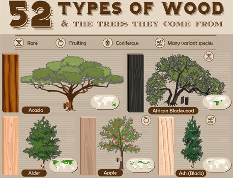 Gallery of 52 Types of Wood and the Trees They Come From - 2 Tree Types, Types Of Trees, Types Of Timber, Wood Turning Lathe, Lathe Projects, Wood Turner, Pen Turning, Diy Workshop, Patio Diy