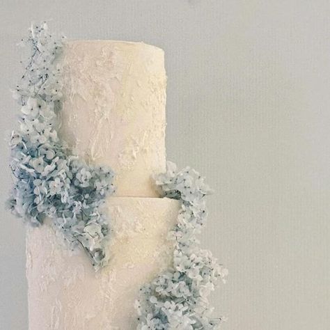 Michelle Portelli Cakes   CAKE ARTIST on Instagram: "ERIC | APRIL 💍🤍

Soft textures and hydrangeas 
Congratulations on your engagement!
.
.
.
.
.
.
 
#cakeinsydney #weddingcake
#sydneyweddings #engagementcake
#sydneyweddingcakes 
#contemporarycakes  #moderncake
#michelleportellicakes" Wedding Cake With Blue, Wedding Cake Hydrangea, Hydrangea Cake, Congratulations On Your Engagement, Cake Artist, Modern Cakes, Engagement Cakes, White Wedding Cake, Elegant Wedding Cakes