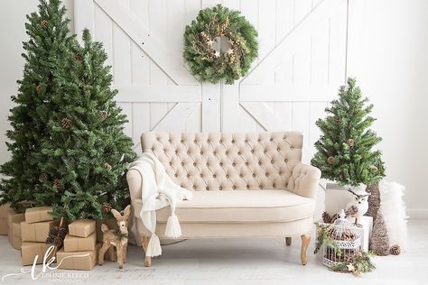 Indoor Christmas Photos, Winter Wonderland Home Decor, Wonderland Home Decor, Outdoor Christmas Photos, Christmas Mini Shoot, Christmas Winter Wonderland, Church Christmas Decorations, Photo Backdrop Christmas, Christmas Photo Props