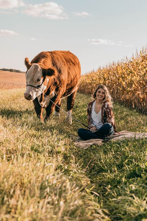 Senior Pictures With Show Cattle, Cow Portrait Photography, Ag Senior Pictures, Senior Picture Ideas With Cows, Farm Graduation Pictures, Show Cattle Senior Pictures, Senior Pictures With Cows, Livestock Senior Pictures, Cow Photoshoot