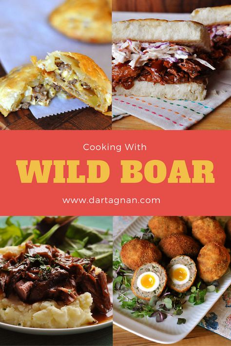 How To Cook Wild Boar, Wild Boar Loin Recipes, Wild Hog Sausage Recipes, Ground Boar Recipe, Wild Boar Tenderloin Recipes, Boar Meat Recipes, Wild Bore Recipes, Wild Pork Recipes, Wild Pig Recipes