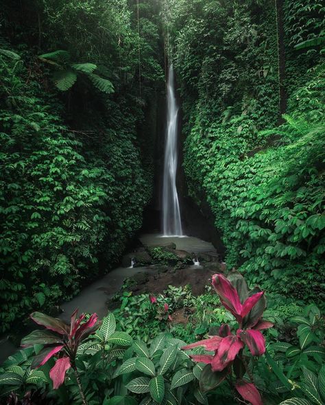 FOLKGREEN 🌲 on Instagram: “360 degree green environment Photo by @piriyaphoto Follow for more! @folkgreen 🌲 #folkgreen - How You Can Actually Fight Climate Change 🗺️…” Bali Waterfalls, Hawaii Wall Art, Green Environment, Waterfall Photography, Rain Photography, Places Around The World, Nature Photos, Beautiful Landscapes, Beautiful Images