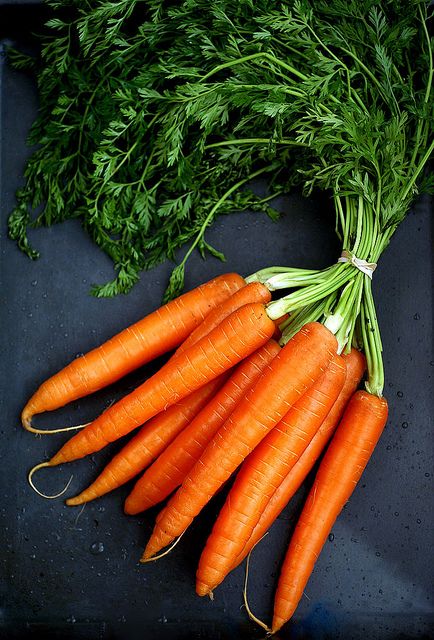 les carottes | Flickr - Photo Sharing! Vegetables Photography, Vegetable Pictures, Fruit Photography, Healthy Soup Recipes, Fresh Veggies, Healthy Soup, Fruit And Veg, Health Info, Beautiful Food