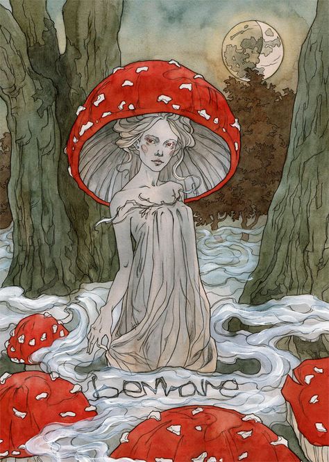 Red Mushrooms, Arte Inspo, Fairytale Art, Mushroom Art, Art Collage Wall, Hippie Art, Art And Illustration, Fairy Art, Art Journals