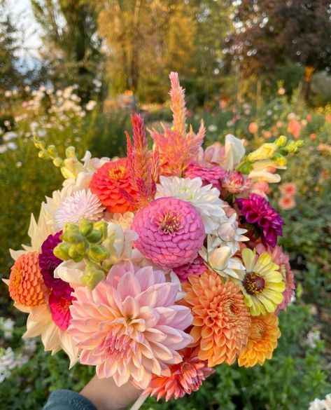 Dalia Bouquet, Zinnia Wedding Bouquet, Dahlia Flower Bouquet, Daliah Flower, Zinnia Bouquet, Jar Bouquet, Bouquet Recipe, Dahlia Bouquet, Round Bouquet