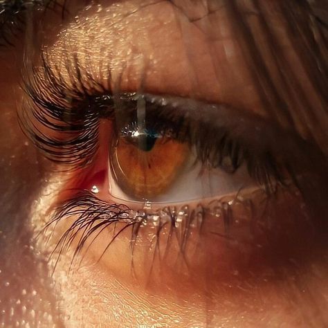 Pretty Eyes Color, Brown Eyes Aesthetic, The Long Game, Photos Of Eyes, Eye Photography, Aesthetic Eyes, Fantasy Aesthetic, Realistic Drawings, Pretty Eyes