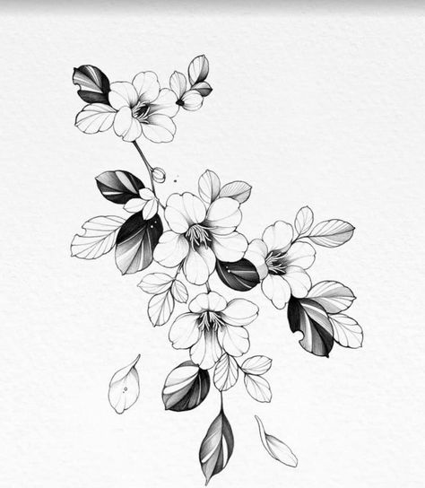 Hawthorne Flower, Tattoo Design Flower, Peony Flower Tattoos, Flor Tattoo, Flower Tattoo Drawings, Tattoo Background, Beautiful Flower Tattoos, Muster Tattoos, Tattoo Zeichnungen