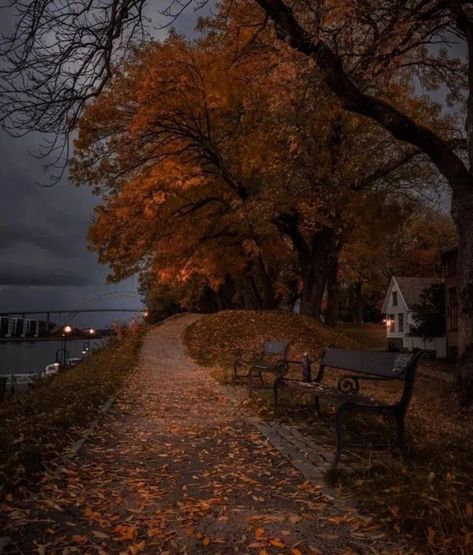 Lucien Vanserra, Park Benches, Court Of Thorns And Roses, Dark Autumn, Pretty Landscapes, Fall Inspo, Season Of The Witch, Autumn Scenery, Fall Feels