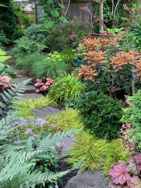 Shade Garden Design, Backyard Walkway, Shade Garden Plants, Rustic Backyard, Farmhouse Landscaping, Front Landscaping, Garden Designer, Home Landscaping, Woodland Garden