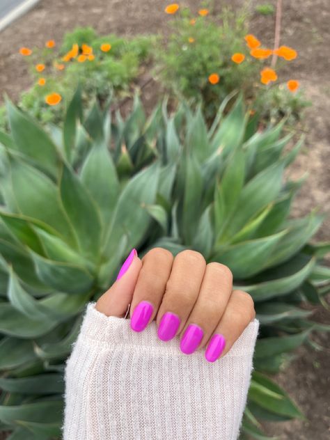 I absolutely adore this bold beautiful color. Perfect for spring. The gel color is DND Daisy Twister #798 Spring Nails Dnd Gel, Spring Nail Colors Gel Polish, Dnd Painted Daisy, Dnd Lilac Season, Dnd Gel Polish Colors Spring 2024, Dnd Magenta Nails, Dnd Neon Purple Gel Polish, Dnd Neon Pink Gel Polish, Magenta Nails