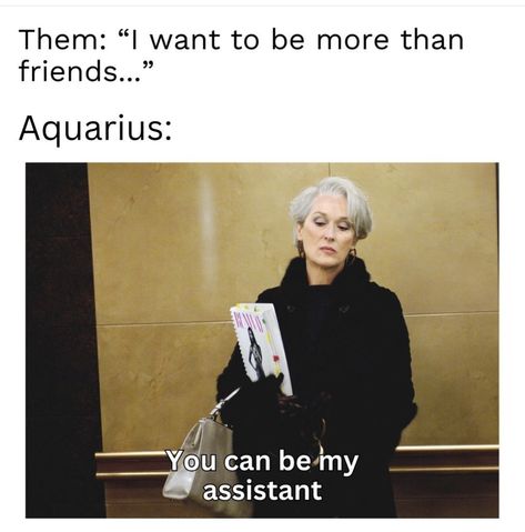 Funny Zodiac Signs Humor, Funny Zodiac Signs, Aquarius Funny, Memes Funny Hilarious, Aquarius Aesthetic, Funny Zodiac, Leo And Aquarius, Aquarius Life, Aries And Aquarius