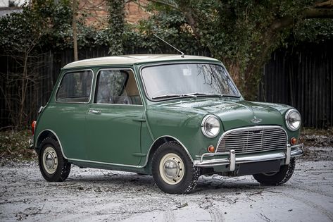 1966 Morris Mini Cooper S Mini Cooper Green, Milky Bar, Mini Morris, Cooper Car, First Cars, Austin Mini, Classic Mini Cooper, Mini Classic, Mini Cooper S