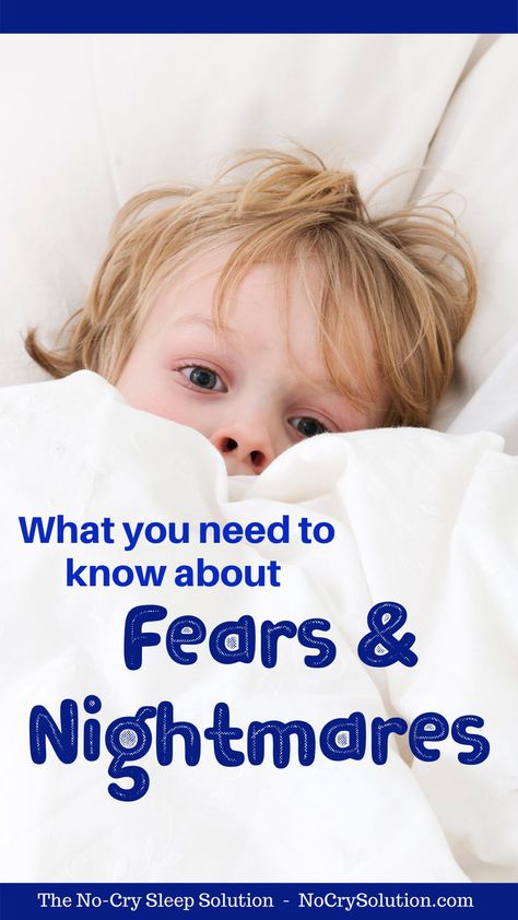 Kids have vivid imaginations, and they spend more time dreaming than adults do, so they have many more nighttime fears and dreams—both good and bad. Here’s what you need to know about Nightmares, Night Terrors and Fears. . #elizabethpantley #nocrysolution #nocrysleepsolution #nightterrors #nightmares #nighttimefears #Bedtimefears #bedtime #toddlers #preschoolers #scaredofthedark #afraidofthedark #fearofthedark Holistic Motherhood, Sleep Ideas, Night Terrors, Parenting Blogs, Confidence Kids, Mom Life Hacks, Sleep Tips, Conscious Parenting, Smart Parenting