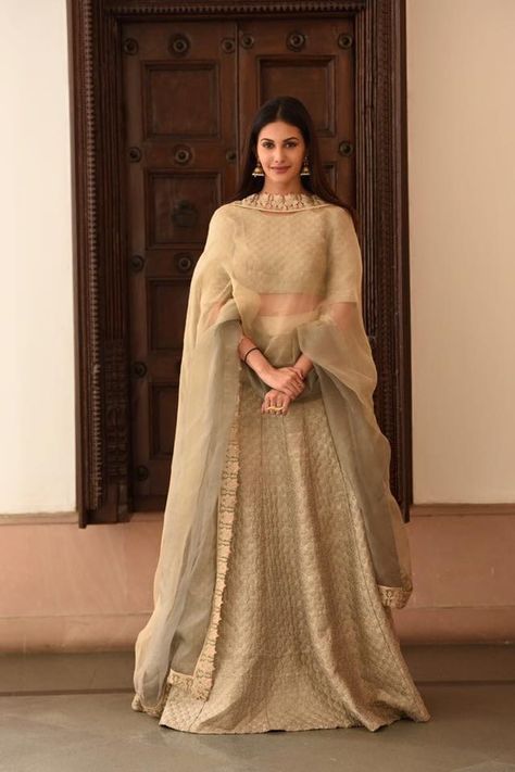 Lehenga Choli in pastel shades. Pastel Shades Lehenga, Lehenga Designs Bridal, Beige Lehenga, Latest Lehenga Designs, Choli Designs, Desi Clothes, Learn How To Crochet, Human Heart, Indian Wedding Outfits