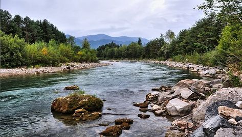 1,000+ Free Mountain Stream & Stream Images - Pixabay Nature River, Mountain Stream, River Stones, Rain Water Collection, Nature Sounds, Water Purification, The Wilderness, Public Domain Images, Nature Images