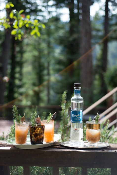 Grilled Fig Cocktail with Rosemary & Cider — The Forest Feast Forest Cocktail, Fig Cocktail, Rosemary Tree, Forest Feast, Forest Party, Kinds Of Cheese, Fall Camping, Fresh Figs, Photoshoot Inspo