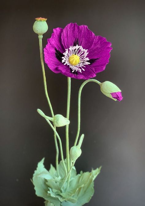 Botanical reproduction of Lauren's Grape poppy from 90 gram crepe paper. By Carol Johansen @wildrosepaperflora Lauren's Grape Poppy, Crepe Paper Leaves, Crepe Paper Poppy, Crepe Paper Roses, Paper Plants, Large Paper Flowers, Paper Leaves, Crepe Paper Flowers, Giant Flowers