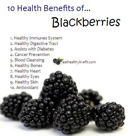 10 Health Benefits of Blackberries. Fruit Health, Fruit Health Benefits, Food Health Benefits, Fruit Benefits, Sup Yoga, Healthy Eyes, Healthy Benefits, Healthy Bones, Healing Food