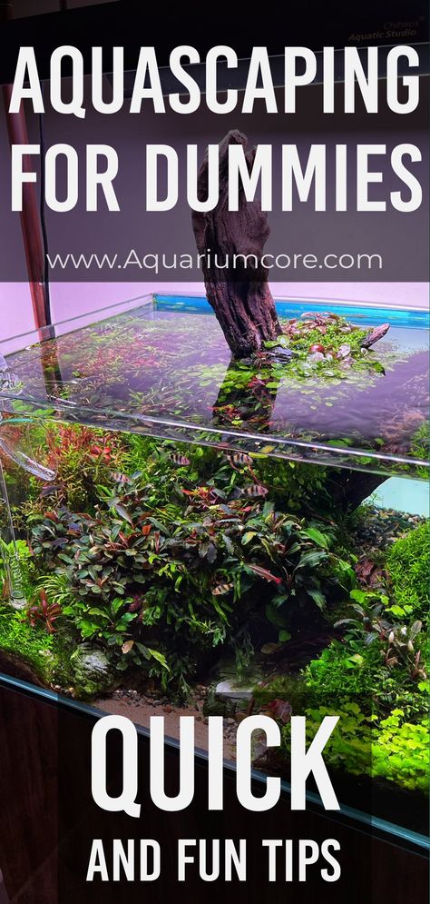 Aquarium beauty: Underwater garden How To Aquascape, Fish Tank Landscape Ideas, Aquascape Aquarium Ideas Simple, Fresh Water Aquascape, Bioactive Fish Tank, Small Aquascape Ideas, Small Tank Aquascaping, Aquarium Setup Ideas Freshwater, 10 Gallon Aquascape Ideas