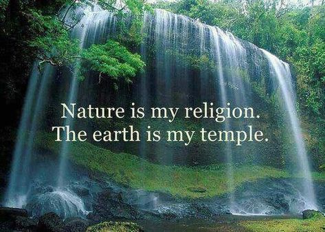 Nature is my religion. The earth is my temple. We must take care of Mother Nature. Mother Earth Quotes, Nature Quotes Trees, Nature Quotes Beautiful, Mother Nature Quotes, Vintage Nature Photography, Earth Quotes, Nature Photography Trees, Quotes Nature, Nature Photography Flowers