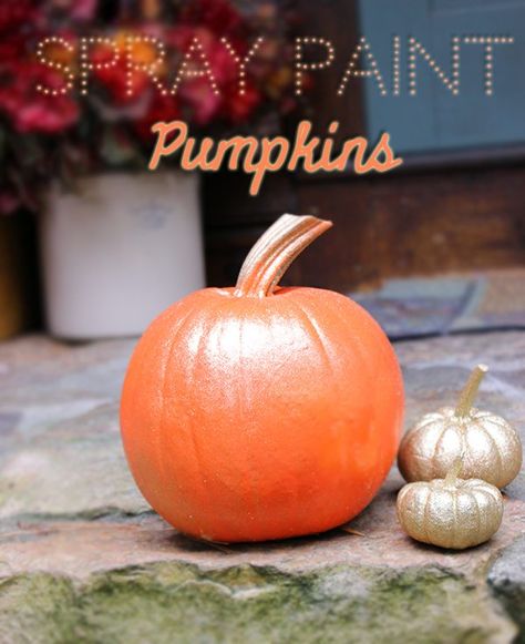 DIY Spray Paint Pumpkins | LIFESTYLE BLOG Spray Painting Plastic, Spray Paint Pumpkins, Paint Pumpkins, Halloween Food Crafts, Spray Paint Plastic, Pumpkins For Halloween, Diy Spray Paint, Plastic Pumpkins, Homemade Halloween Costumes