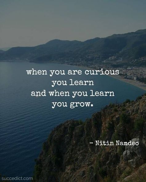 Curious Quotes, Quotes Widget, Curiosity Quotes, Determination Quotes, Trading Quotes, Amazing Inspirational Quotes, Original Quotes, True Feelings Quotes, Ways To Be Happier