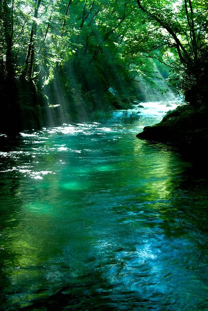 숲 사진, Forest Stream, Image Nature, Beautiful Forest, Alam Yang Indah, Beautiful Places To Travel, Nature Aesthetic, Magical Places, Beautiful Places To Visit