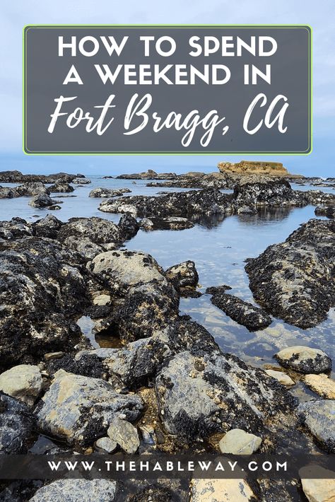 Lodging, dining and activity ideas for Fort Bragg, CA! #fortbragg #mendocino #californiacoast #pacificocean #whalewatching #pacificcoasthighway #tidepools Avenue Of The Giants, Fort Bragg California, California Towns, Camping Things, Reading More, Coastal California, Fort Bragg, Along For The Ride, Well Traveled