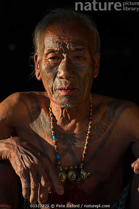 Konyak Naga tattooed head hunter. Only someone who has killed and taken a human head can be tattooed in this manner. Mon district. Nagaland, North East India, October 2014. Naga Design, Konyak Naga, North East India, Head Hunter, Nature Picture, Best Nature, Unique Faces, Human Head, Model Release