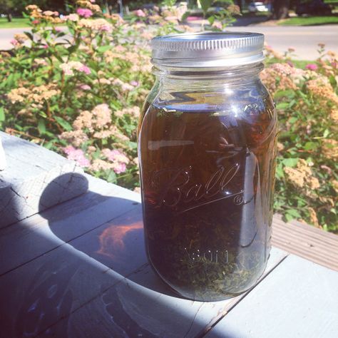 Nettle Tincture, Herbal Medicine Cabinet, Gallon Mason Jars, How To Make Oats, Oat Straw, Diy Medicine, Cut Recipe, Making Cold Brew Coffee, Stinging Nettle